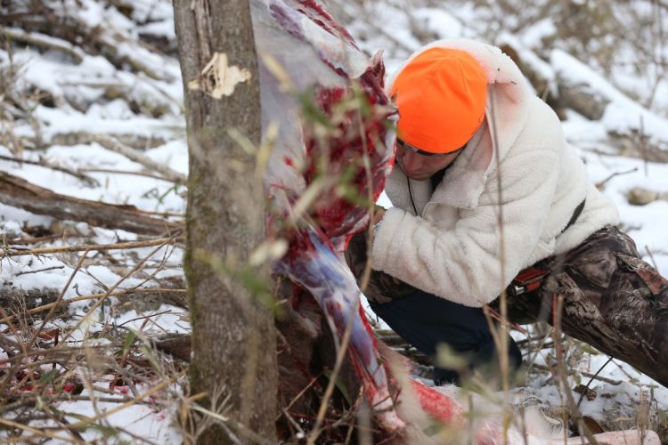仕留めたシカをその場で解体する筆者