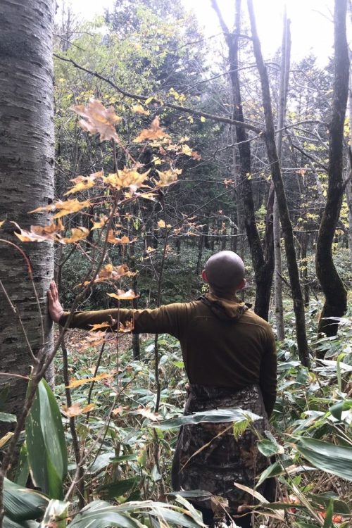 北海道の森の中で