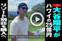 【動画】大谷翔平がハワイの25億円リゾート別荘を購入へ
