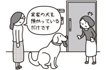 「私は飼っていません」ペット飼育禁止のマンションで毎週末に犬を預かっている隣人は規約違反に当たらないのか?弁護士が解説