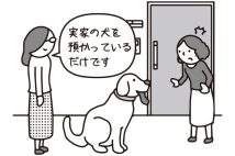 「私は飼っていません」ペット飼育禁止のマンションで毎週末に犬を預かっている隣人は規約違反に当たらないのか？弁護士が解説