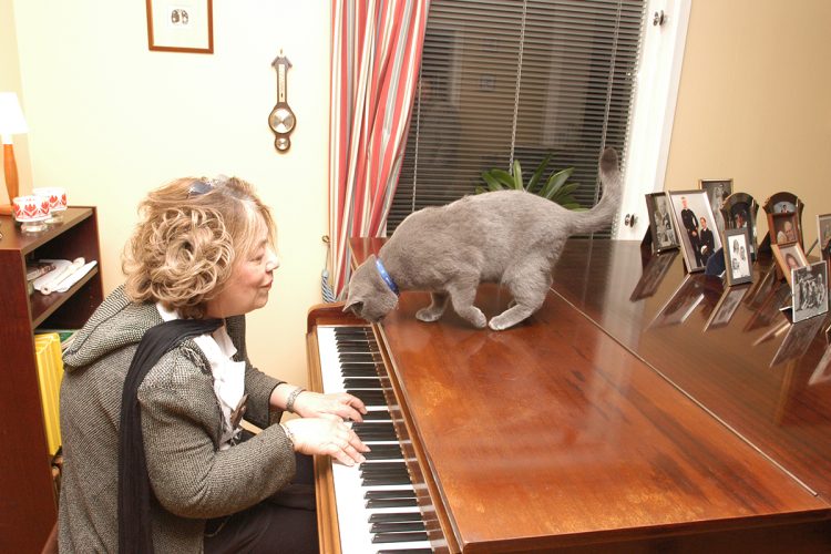 練習中に猫がピアノに飛び乗ってくると、突如「猫ふんじゃった」を弾き始めた(撮影:中嶌英雄)
