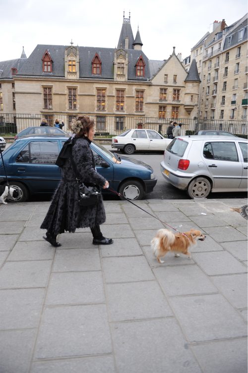 犬の散歩をするフジコさん(撮影:中嶌英雄)