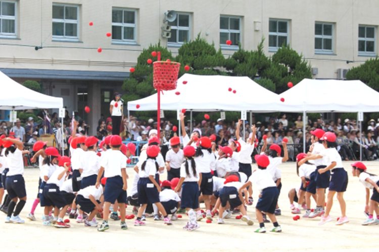 競争性のある種目は減少