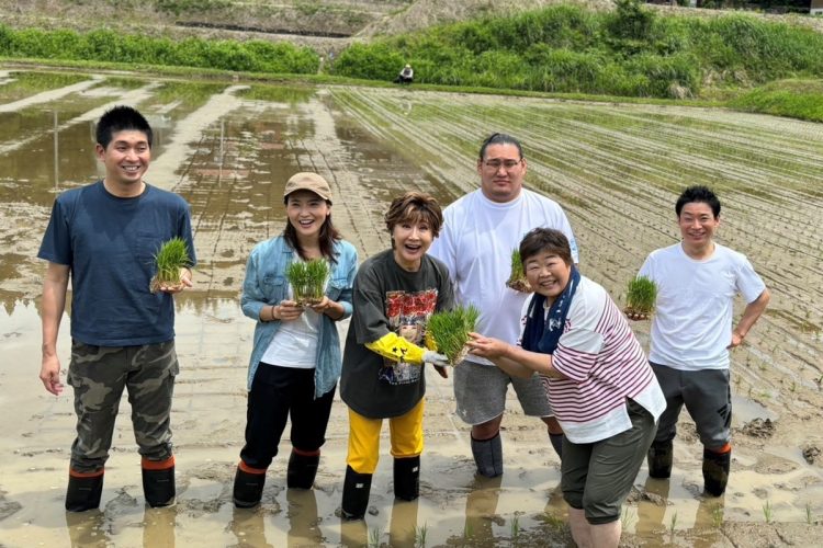 新潟県十日町市で5月30日、ブランド米「越後情話」の田植えイベントが行われた。左から、宮崎・金子夫妻、小林、豊昇龍関、オバ記者、蝦名。
