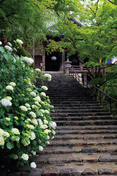 長谷寺（写真/Aflo）