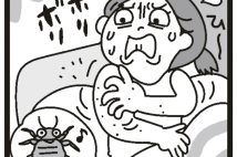 「60か所も刺された」「服も布団も捨てた」…国内で増加するトコジラミ被害、駆除業者への依頼件数はコロナ前の5倍以上に 対策は自宅に持ち込まないこと