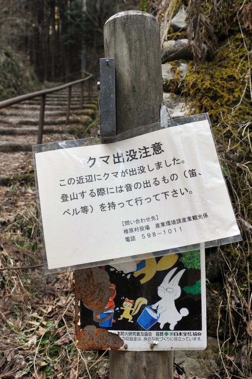 クマ対策グッズを持っていても冷静に対処するのは難しい（時事通信フォト）