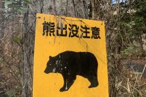クマの被害は増加傾向にある(時事通信フォト)