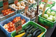 「安い商品にはワケがある?」激安青果店で“ハズレ野菜”を引かないためのテクニック 消費者が実体験から学んだ“失敗しやすいもの・意外に外れないもの”