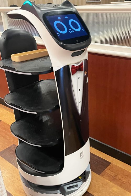 フェアに合わせて猫型の配膳ロボットもウェイター仕様に