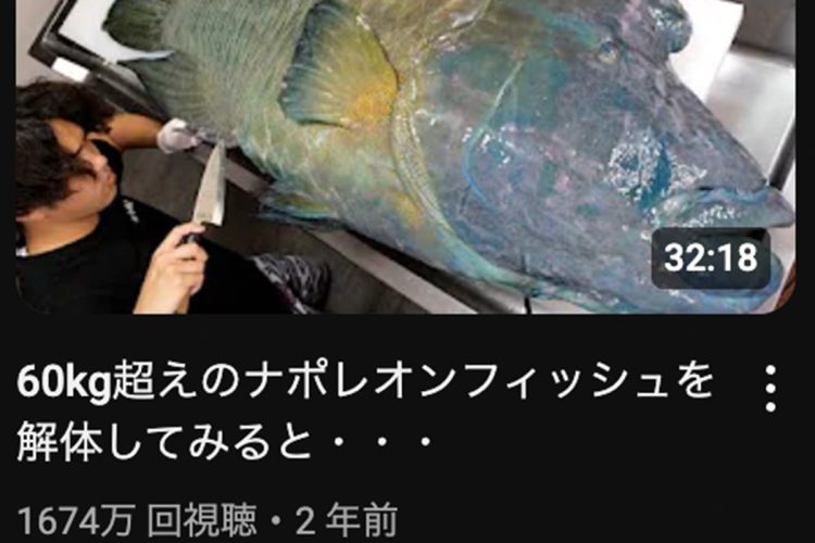 人気の動画『60kg超えのナポレオンフィッシュを解体してみると…(1674万再生)』 (YouTubeより)