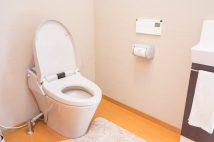 「えっ?流さないの?」自宅のトイレを貸して驚いた“他人のトイレの慣習” 「床に使用済み生理用品」「漫画だけじゃなくスマホスタンドも」…常識外れはどちらなのか