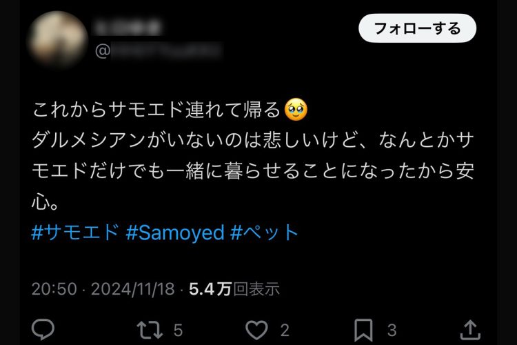 一時期は一方の犬の面倒を見ていたようだ(Xより)