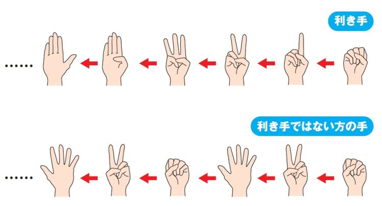 指を立てたり曲げたりして行動の制御力を鍛える