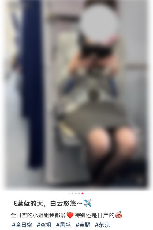 同SNSには、CAを盗撮したと思われる画像がほかにも投稿されている (Xより、提供:@Parsonalsecret。編集部で画像全体を加工)