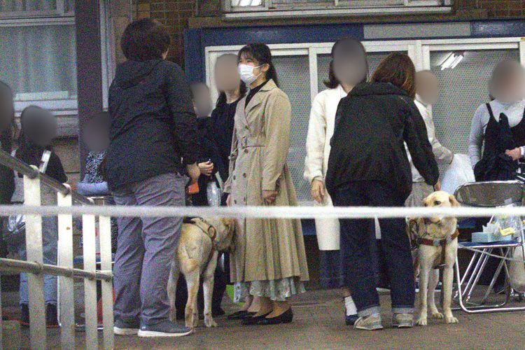 愛子さまのコートに顔をこすりつける盲導犬に、愛子さまも笑顔を見せられた(2025年4月)