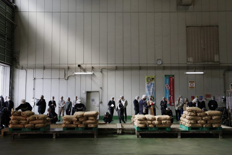 精米工場で袋から出される政府備蓄米（時事通信フォト）