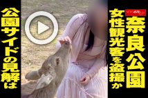 【動画】奈良公園 女性観光客を盗撮か 公園サイドの見解は