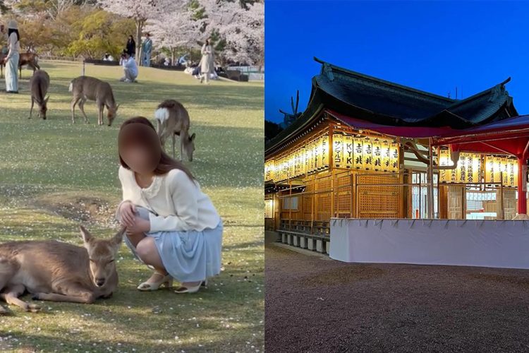奈良公園で盗撮したのではないかと問題視されている写真（左）と、盗撮トラブルで“写真撮影禁止”を決断したある有名神社（左・SNSより、右・公式SNSより）