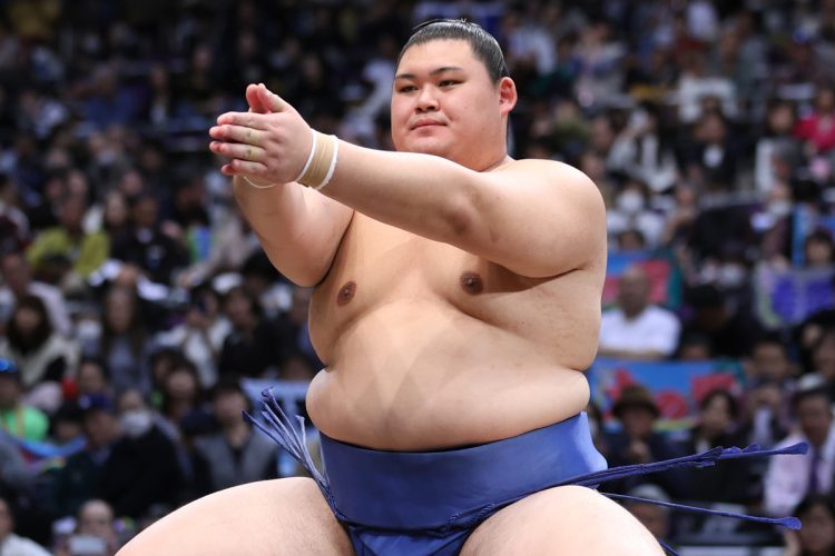 レトロ 97BBM 大相撲カード Sample 色っぽく 横綱谷風 画 春英