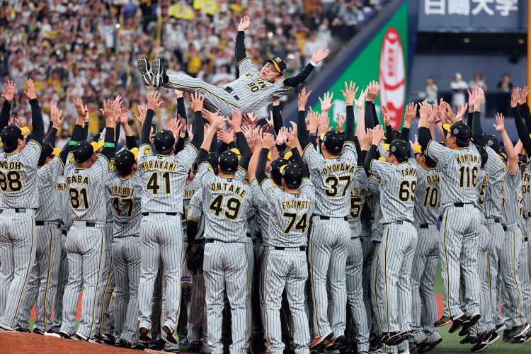 2023年【38年ぶり「A.R.E.」の栄光】第二次政権の岡田監督下で「A.R.E.」のスローガンを掲げて日本一に。38年ぶりの栄光に虎党が酔いしれた(時事通信フォト)