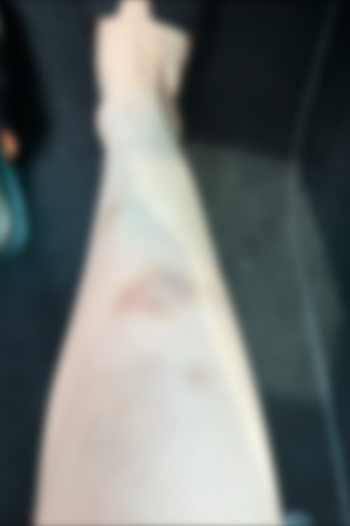 小西容疑者は精神的に病みPTSDに苦しんでいる