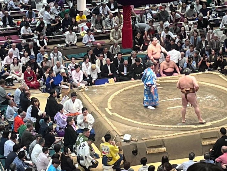 5月場所6日目に姿を見せた「溜席の着物美人」。臙の着物姿で花道のすぐ脇に座っている