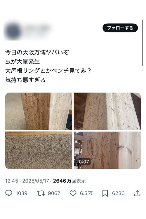 物議を醸している〈今日の大阪万博ヤバいぞ　虫が大量発生〉という投稿（Xより）