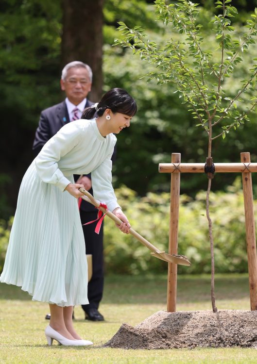 国の天然記念物「淡墨桜」の苗木を植えられた（2025年5月21日、撮影／JMPA）