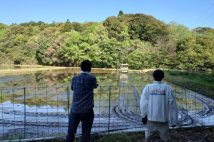 コメ高騰が続くなか田植えの季節がやってきた 稲作は「重労働なのに儲からない」という事実、農家は「市場価格は関係ない。決まった金額でJAに卸しているだけ」