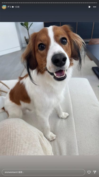 大谷の投稿に映る真美子さんこだわりの「ベージュニットの部屋着」(大谷のInstagramより)