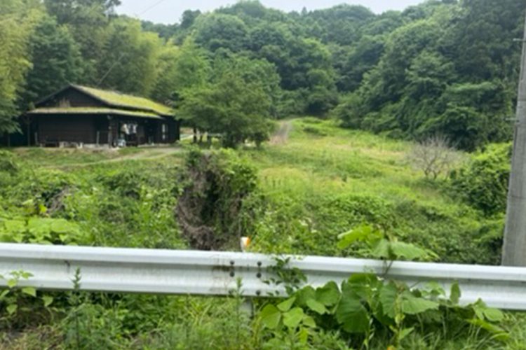 2025年6月上旬、かつてのロケ地は雑草が生い茂っていた