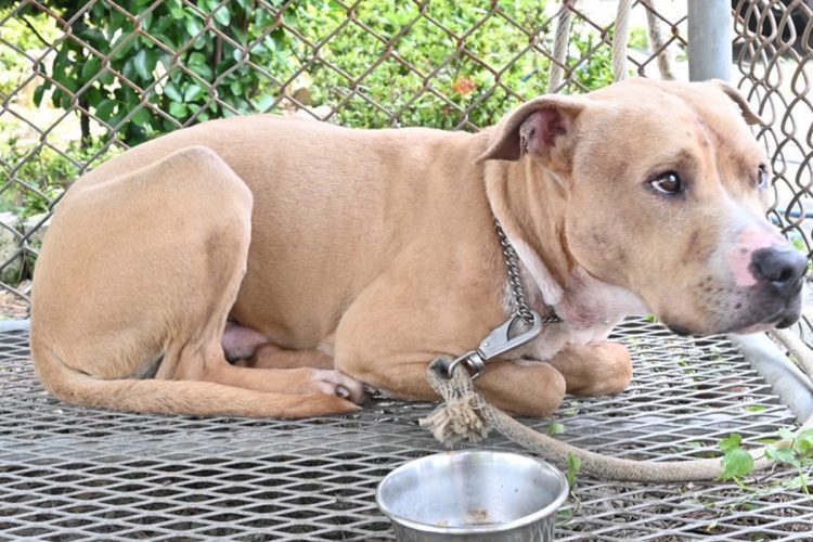 事故の背景には沖縄が関わる特殊事情があった