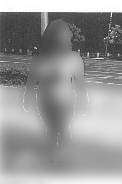 観光名所付近で野外露出するBさんと見られる女性