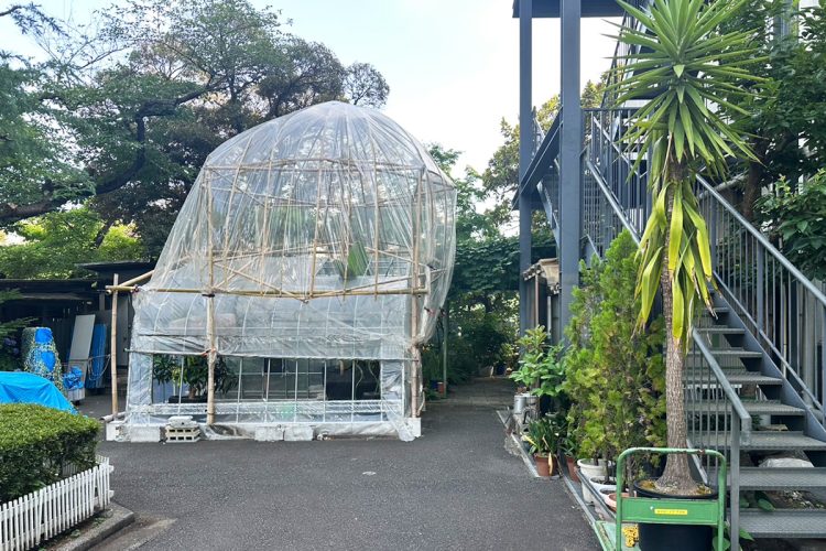 バナナの木を守っていたビニールハウス(学生提供)