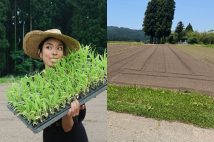 ローラと雑穀畑(本人インスタグラムより)