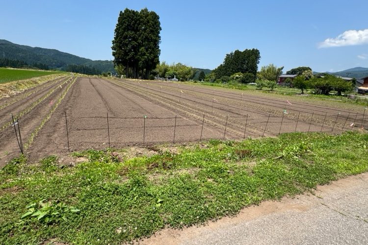 新潟駅から車で1時間ほどの風光明媚な村だ