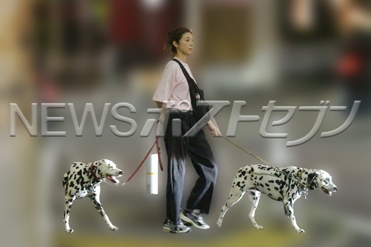 2匹のダルメシアンを散歩していた