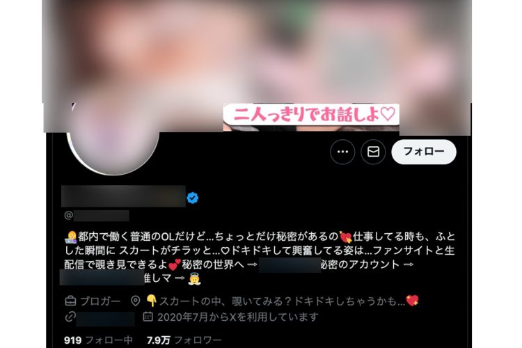 インフルエンサーのプロフィール