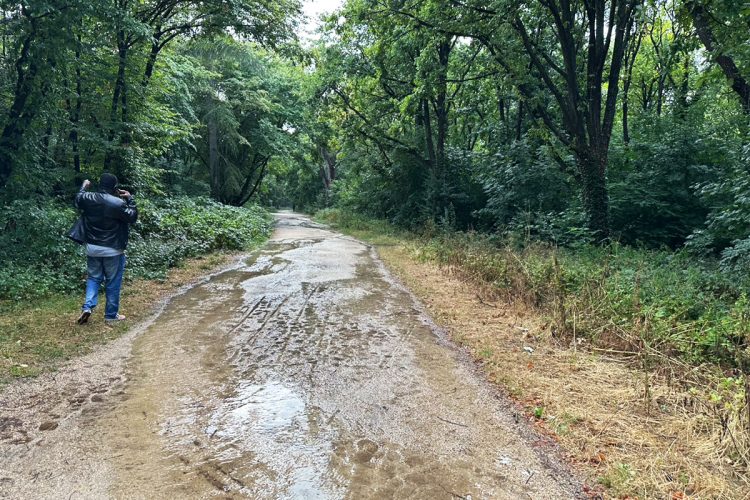 激しい雨が上がった直後、湿った空気に包まれていた