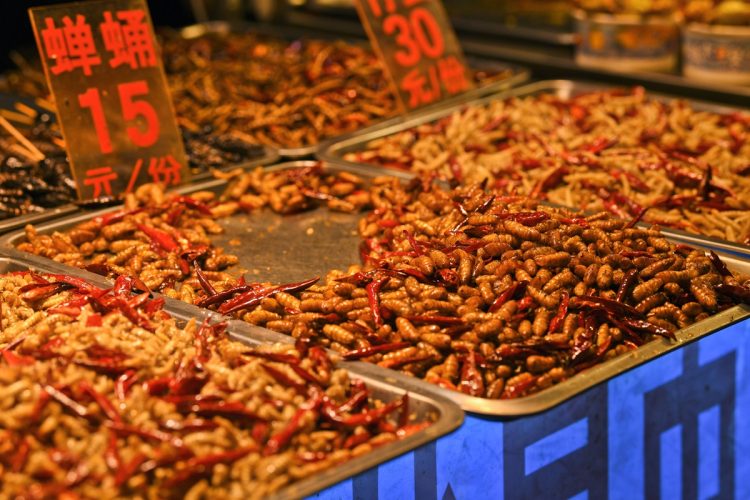 中国・南寧市の夜市で売られている素揚げのセミ幼虫。中国では酒のつまみにぴったりと言われ、食用のセミ幼虫人気の高まりから高騰、高級食材となっている（Imaginechina/時事通信フォト）