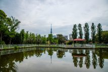 スカイツリーが見える猿江恩賜公園は1932年開園。花見の名所として知られ、犬の散歩やウォーキングに訪れる周辺住民も多い(写真提供/イメージマート)