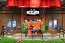 写真／Japan Racing Horse Association