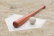 高校野球で定められている応援スタイルについての指導指針は競技関係者と学校関係者を対象としたもので、一般のファンは想定していない（写真提供／イメージマート）