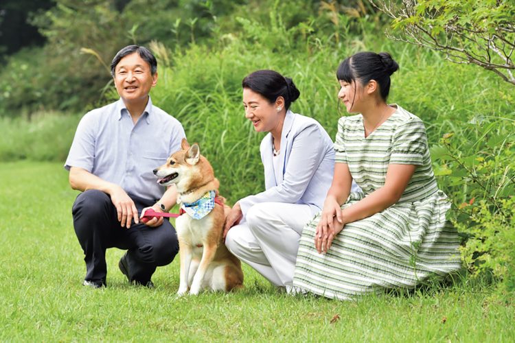 那須は愛犬・由莉との思い出が詰まった場所（2019年8月、栃木県・那須郡。撮影／JMPA）