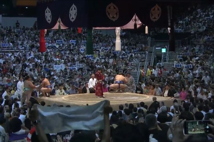 西の審判委員の親方のすぐ後ろ、溜席の最前列にいる女性。「溜席の着物美人」として知られるが、今回はピンクのワンピースで観戦