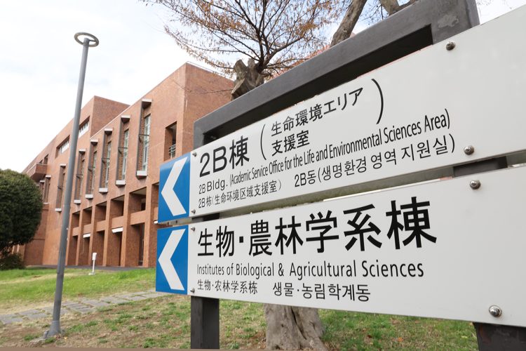悠仁さまが日々過ごされる、生命環境学群の建物が立ち並ぶエリア （写真／共同通信社 ）