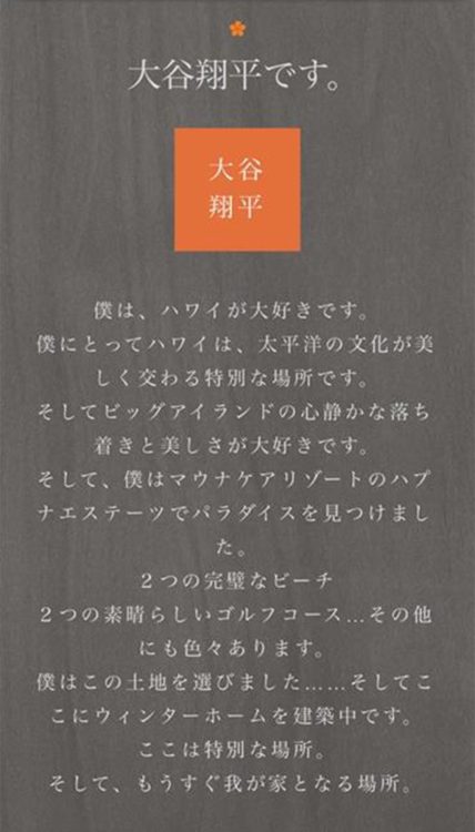 表示されなくなった大谷翔平の広告(販売会社のHPより、現在は削除済み)