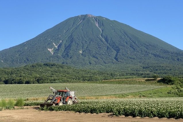 蝦夷富士とも呼ばれる羊蹄山（イメージ）